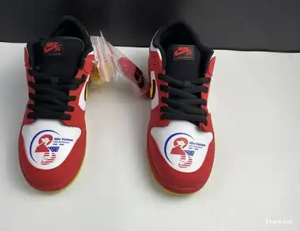 Low years 309242-307 25th Nike SB Dunk 0613